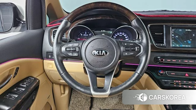 Kia The New Carnival 2019 Белый из Кореи, фото 4