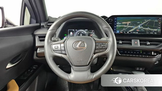 Lexus UX250h 2022 Песочный из Кореи, фото 4