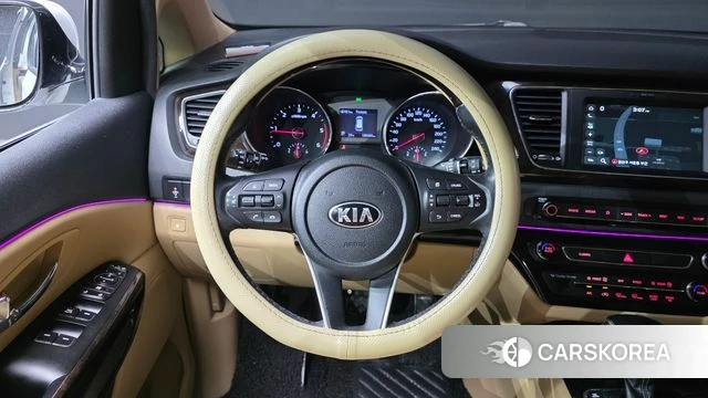 Kia The New Carnival 2019 Белый из Кореи, фото 4