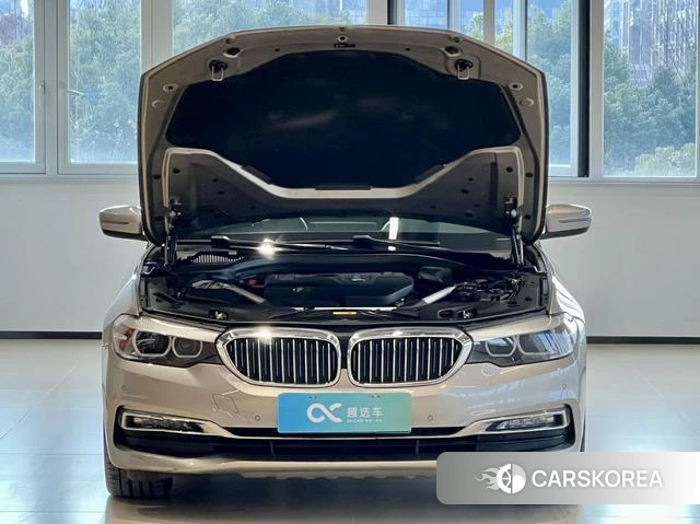 BMW 5 series PHEV 2018 Шампань из Китая, фото 4