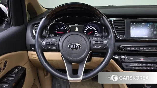 Kia The New Carnival 2019 Белый из Кореи, фото 4