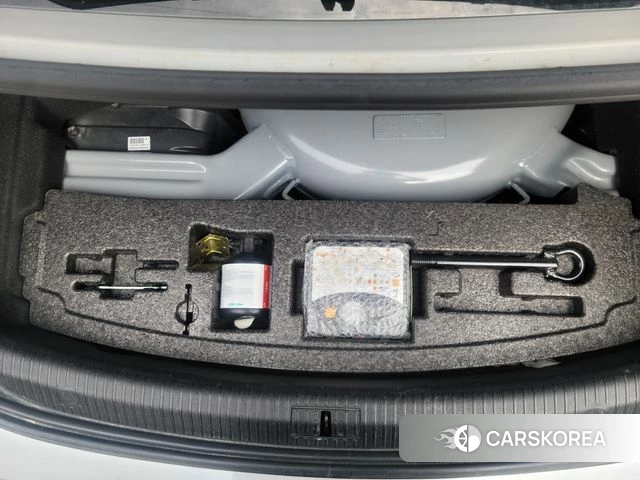 Renault Korea (Samsung) SM6 2019 Жемчужный цвет из Кореи, фото 4