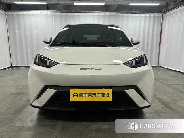 BYD Seagull 2024 Белый из Китая, фото 4