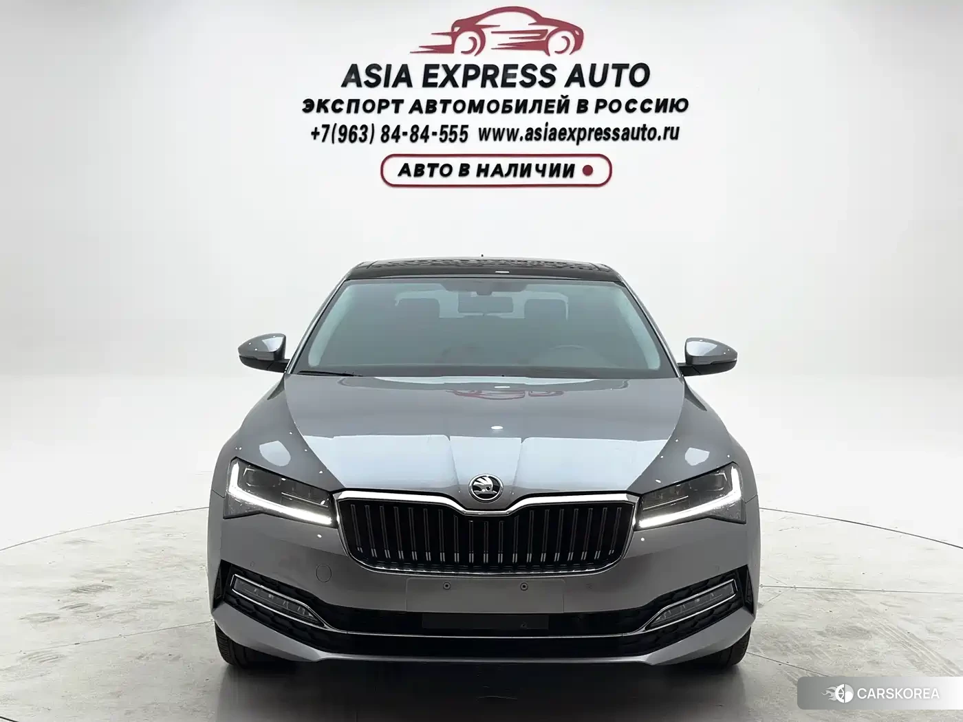 Skoda Speed pie 2024 Silver/gray из Китая, фото 4