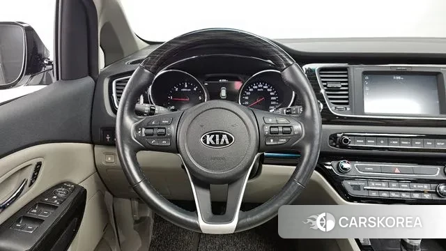 Kia The New Carnival 2019 Белый из Кореи, фото 4