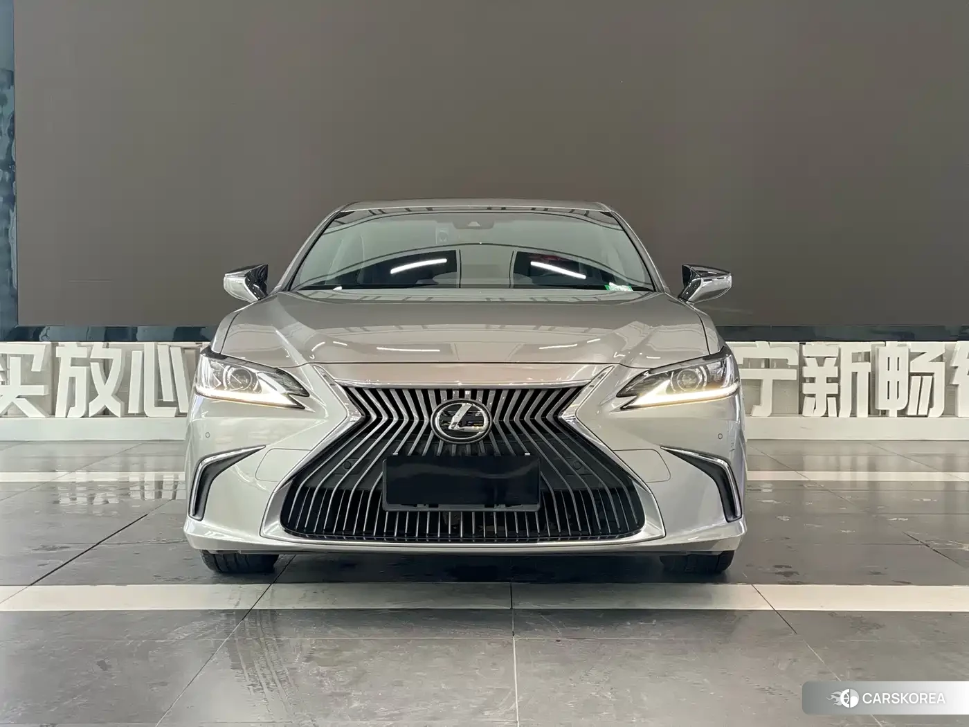 Lexus ES 2020 Champagne/brown из Китая, фото 4