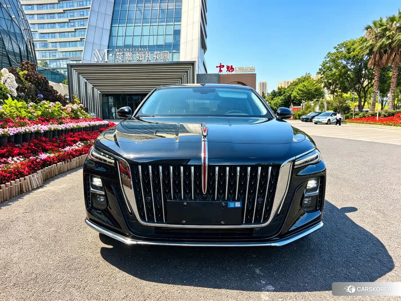 Red flag Hongqi H5 2024 Черный из Китая, фото 4