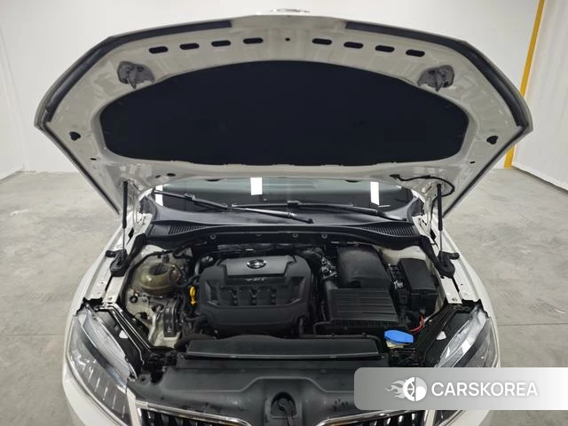 Skoda Speed pie 2019 Белый из Китая, фото 4