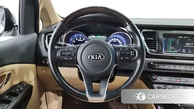Kia The New Carnival 2019 Белый из Кореи, фото 4