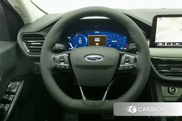 Ford Ruiji 2021 Синий из Китая, фото 4
