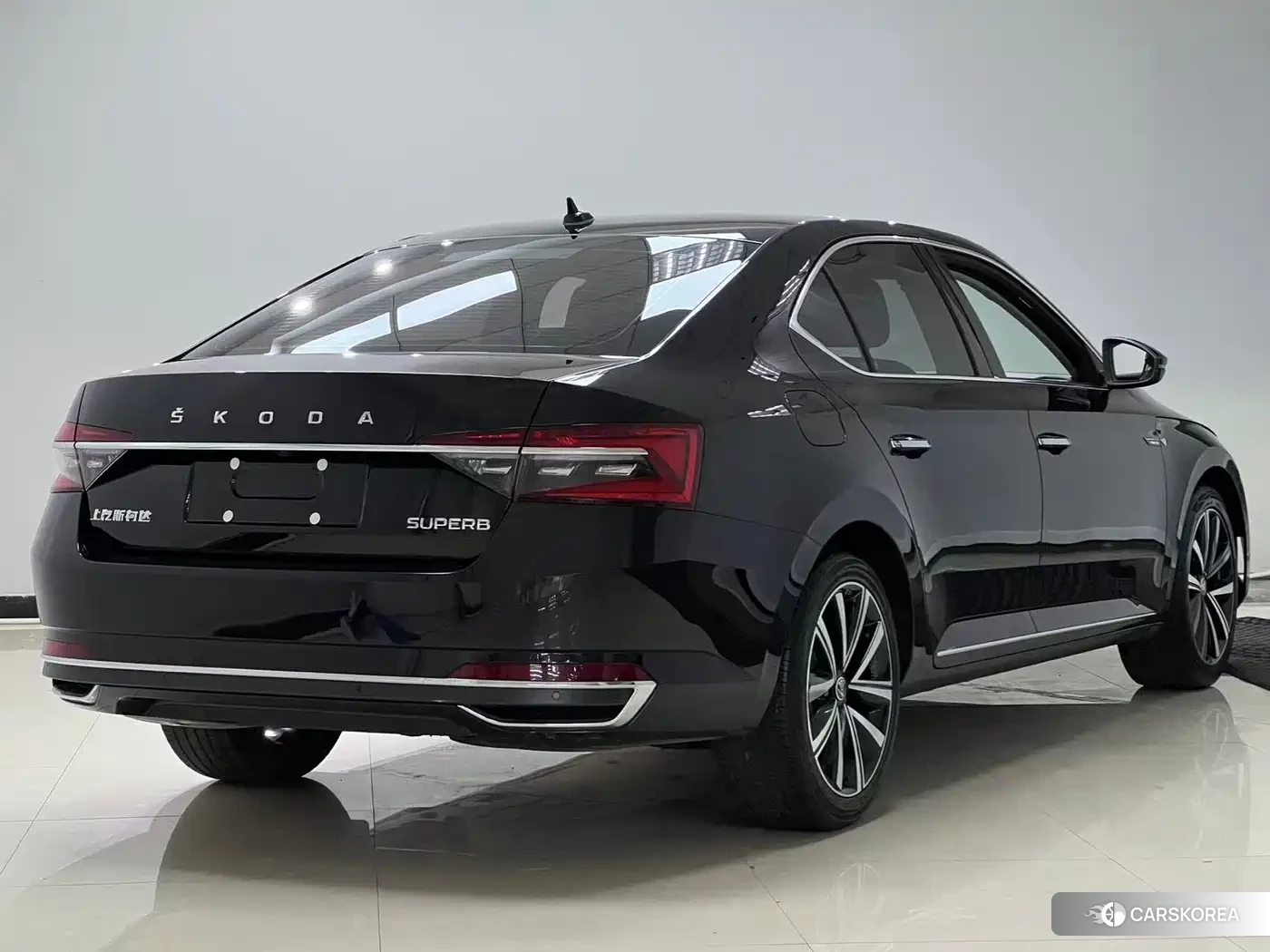 Skoda Speed pie 2024 Черный из Китая, фото 4