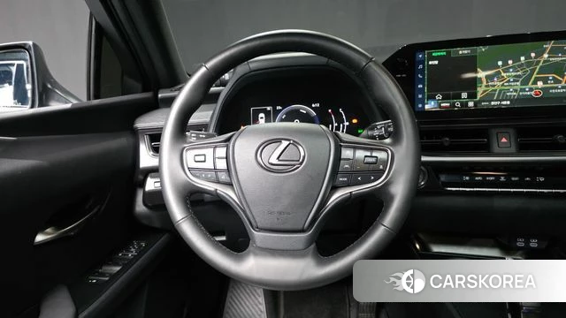 Lexus UX300h 2024 Серый из Кореи, фото 4