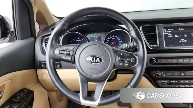 Kia The New Carnival 2019 Белый из Кореи, фото 4