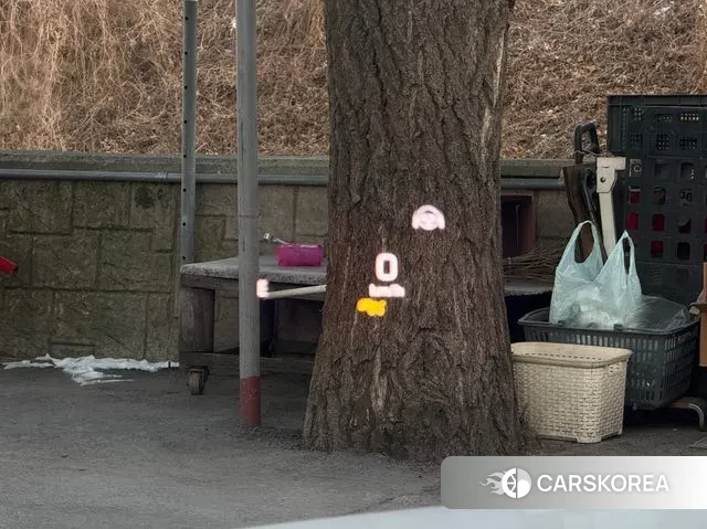 Mercedes-Benz C-Class W205 2021 Белый из Кореи, фото 4