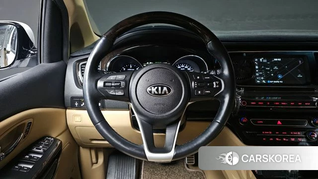 Kia The New Carnival 2018 Белый из Кореи, фото 4