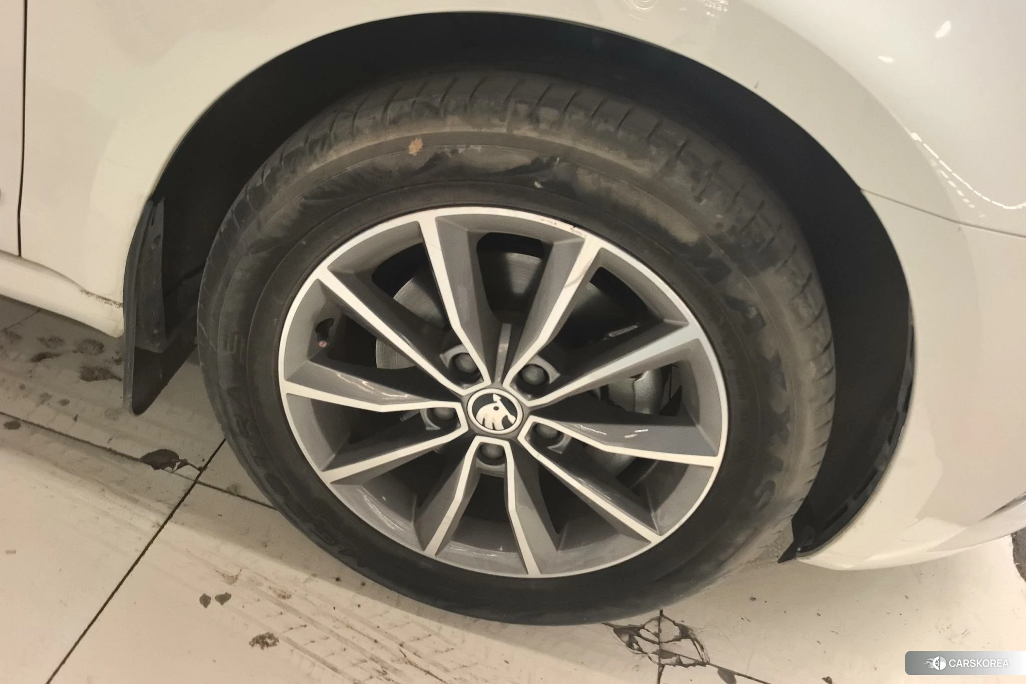 Skoda Octavia 2020 Белый из Китая, фото 4