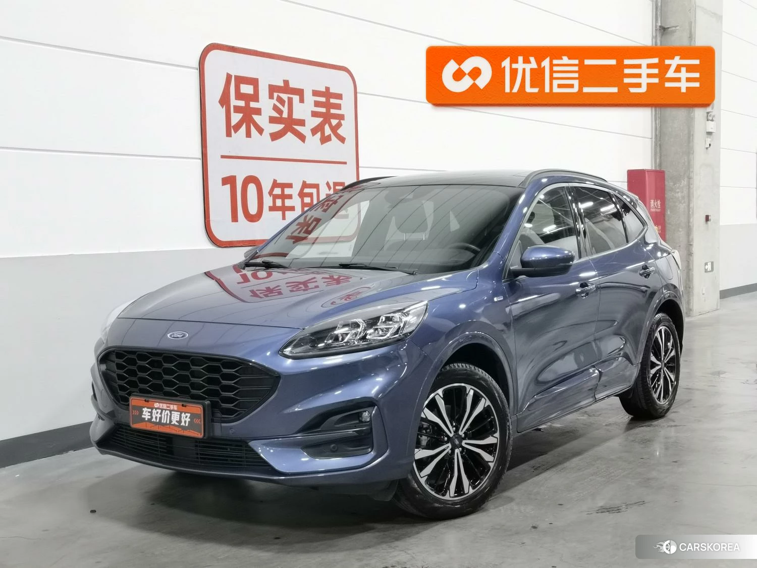 Ford Ruiji 2019 Синий из Китая, фото 4