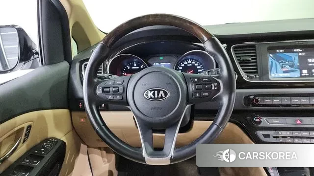 Kia The New Carnival 2020 Белый из Кореи, фото 4