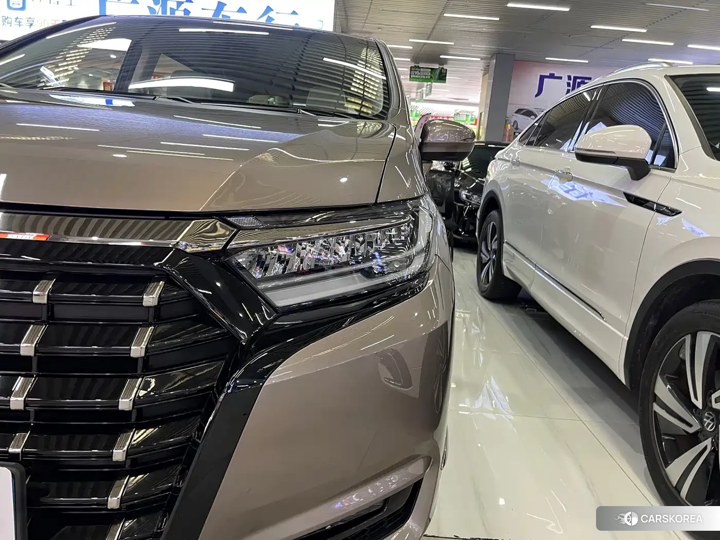 Honda Elysion 2022 Champagne/brown из Китая, фото 4