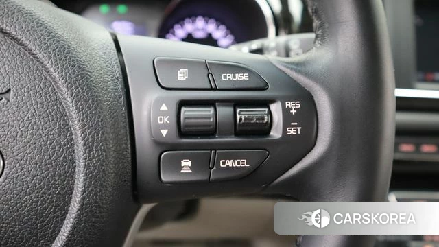 Kia The New Carnival 2019 Белый из Кореи, фото 4