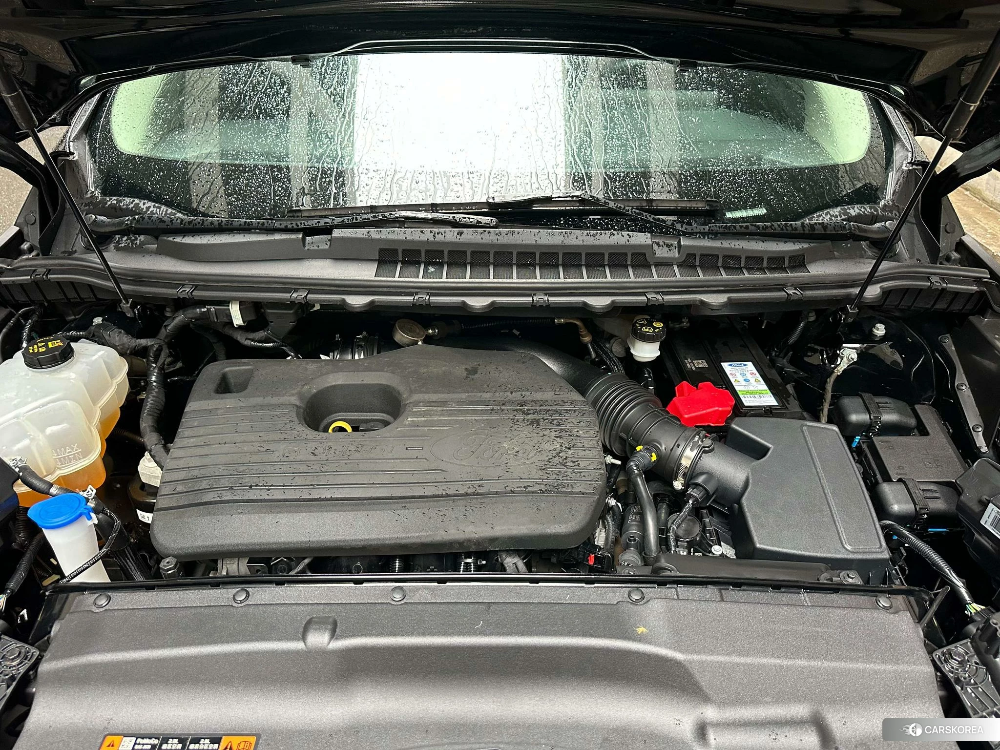 Ford Sharp World 2020 Черный из Китая, фото 4