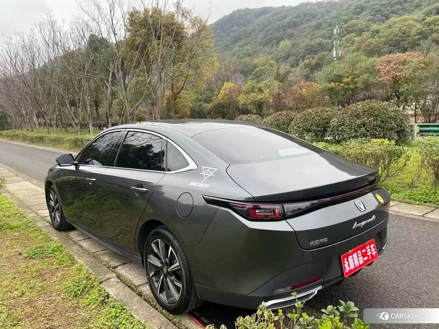 Chang'an Yidong 2025 Silver/gray из Китая, фото 4