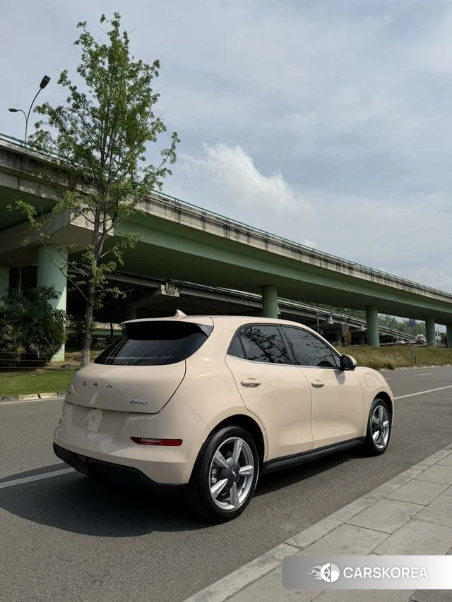 Euler Good cat 2023 Другой из Китая, фото 4