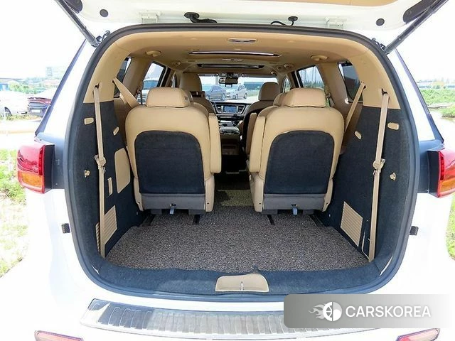Kia The New Carnival 2018 Жемчужный цвет из Кореи, фото 4