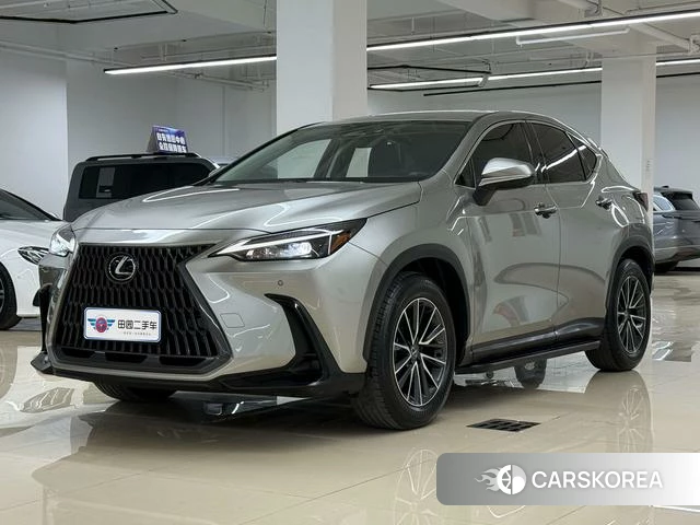 Lexus NX 2024 Шампань из Китая, фото 4
