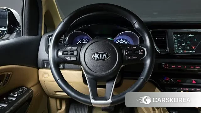 Kia The New Carnival 2019 Белый из Кореи, фото 4