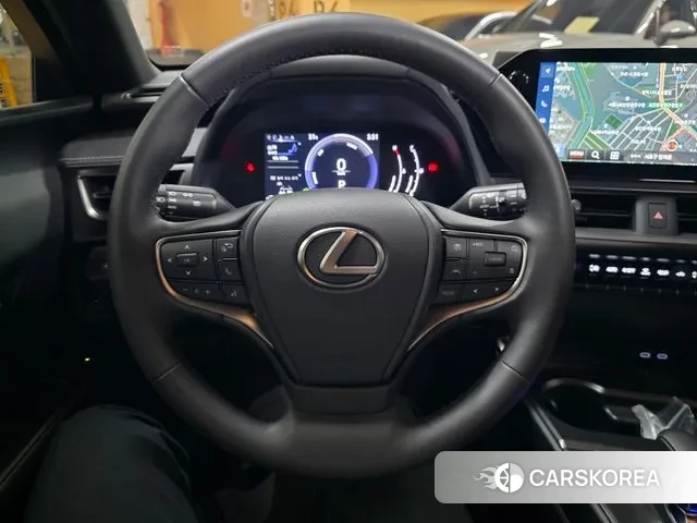 Lexus UX300h 2024 Серый из Кореи, фото 4