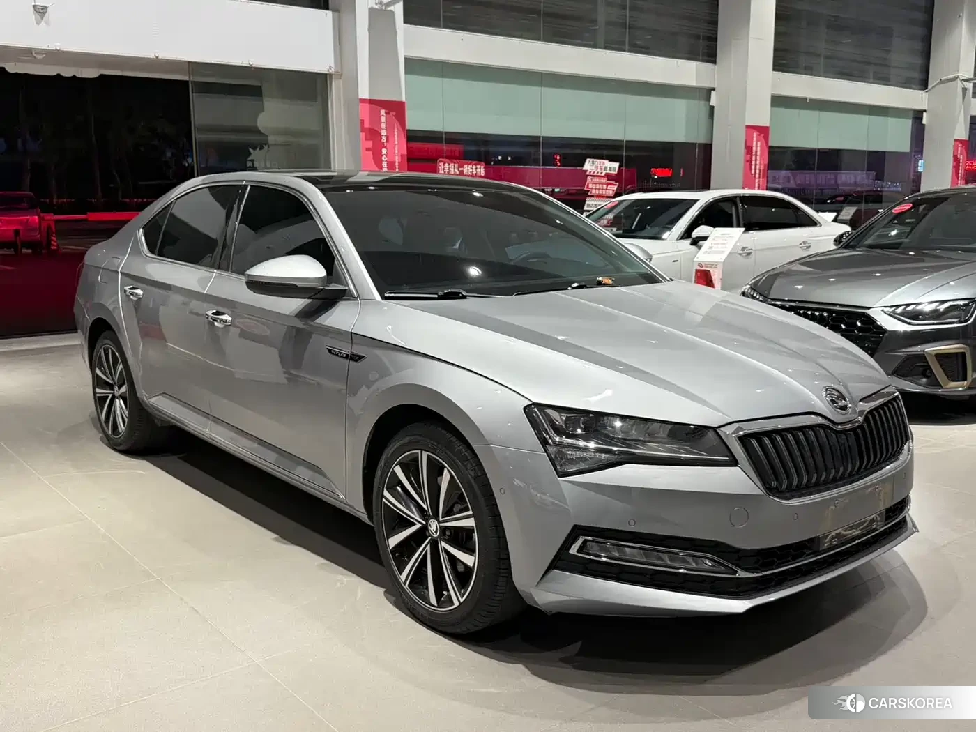 Skoda Speed pie 2023 Silver/gray из Китая, фото 4
