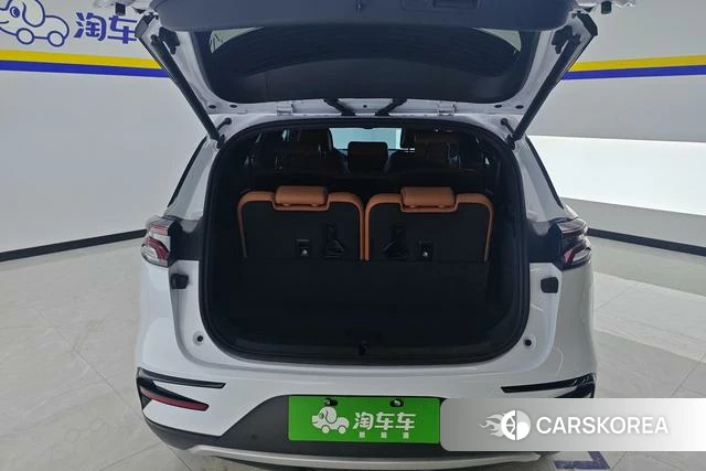 BYD Tang DM 2023 Белый из Китая, фото 4