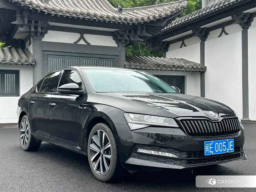 Skoda Speed pie 2023 Черный из Китая, фото 4