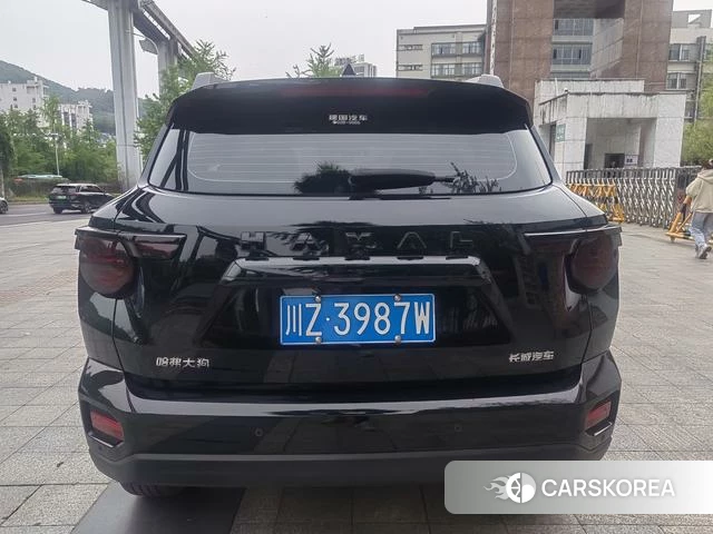 Haval Big Dog PLUS 2024 Черный из Китая, фото 4