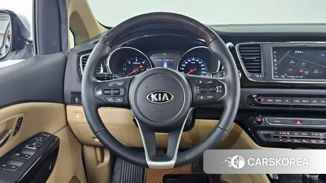 Kia The New Carnival 2020 Белый из Кореи, фото 4