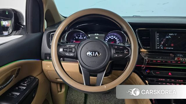 Kia The New Carnival 2019 Белый из Кореи, фото 4
