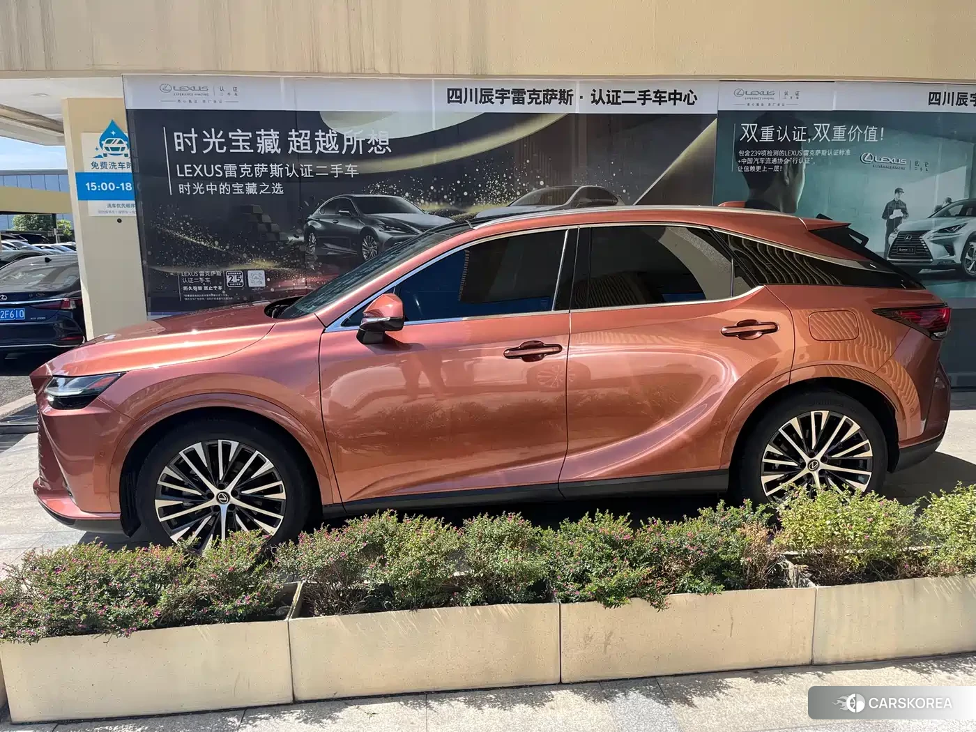 Lexus RX New Energy 2023 Champagne/brown из Китая, фото 4