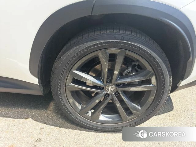 Lexus NX350h Second generation 2024 Белый из Кореи, фото 4