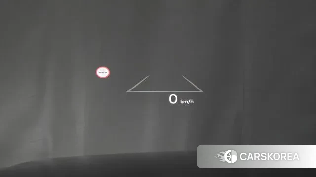 Hyundai Santa Fe (MX5) 2024 Серый из Кореи, фото 4