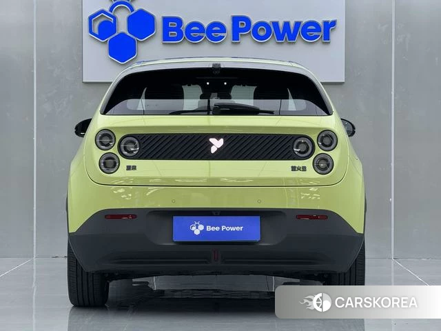 firefly firefly Unknown 2025 Зеленый из Китая, фото 4