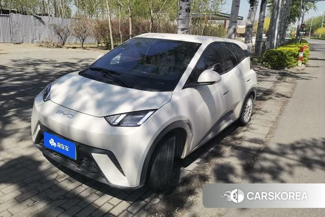 BYD Seagull 2023 Белый из Китая, фото 4