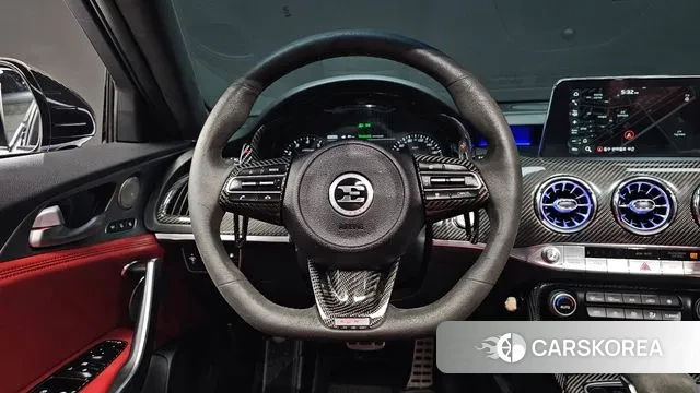 Kia Stinger 2019 Жемчужный цвет из Кореи, фото 4