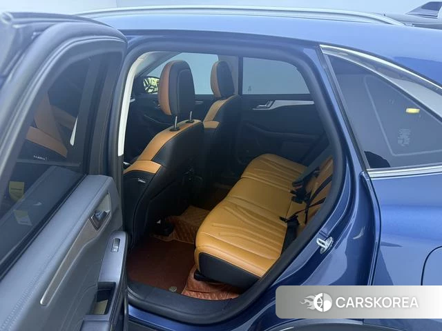 Ford Ruiji 2024 Синий из Китая, фото 4