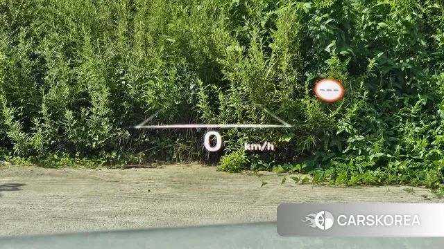 Hyundai The New Palisade 2022 Белый из Кореи, фото 4