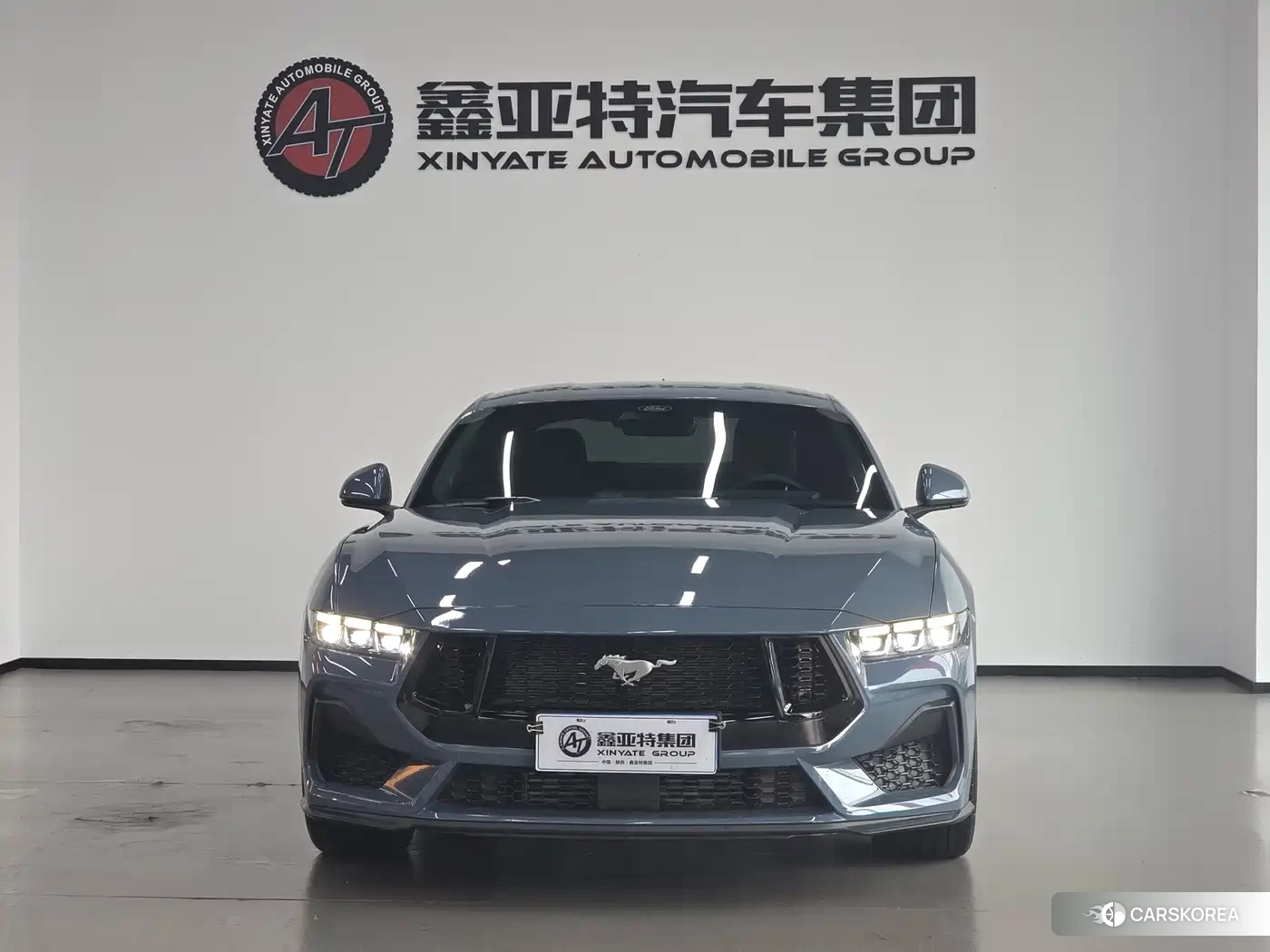 Ford Mustang 2026 Silver/gray из Китая, фото 4