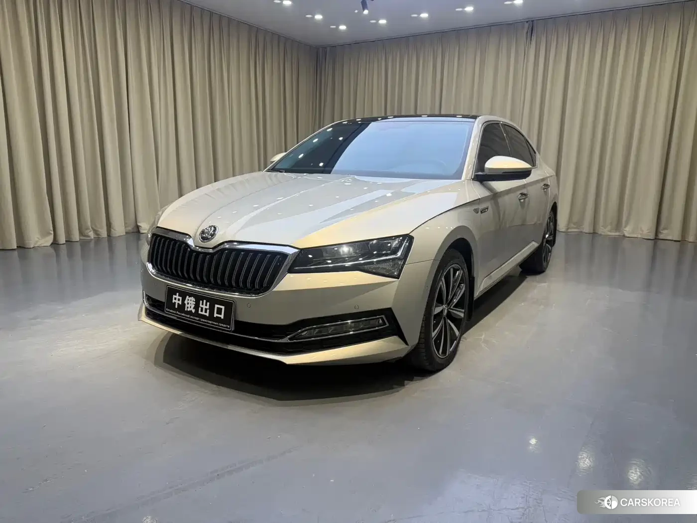 Skoda Speed pie 2023 Champagne/brown из Китая, фото 4