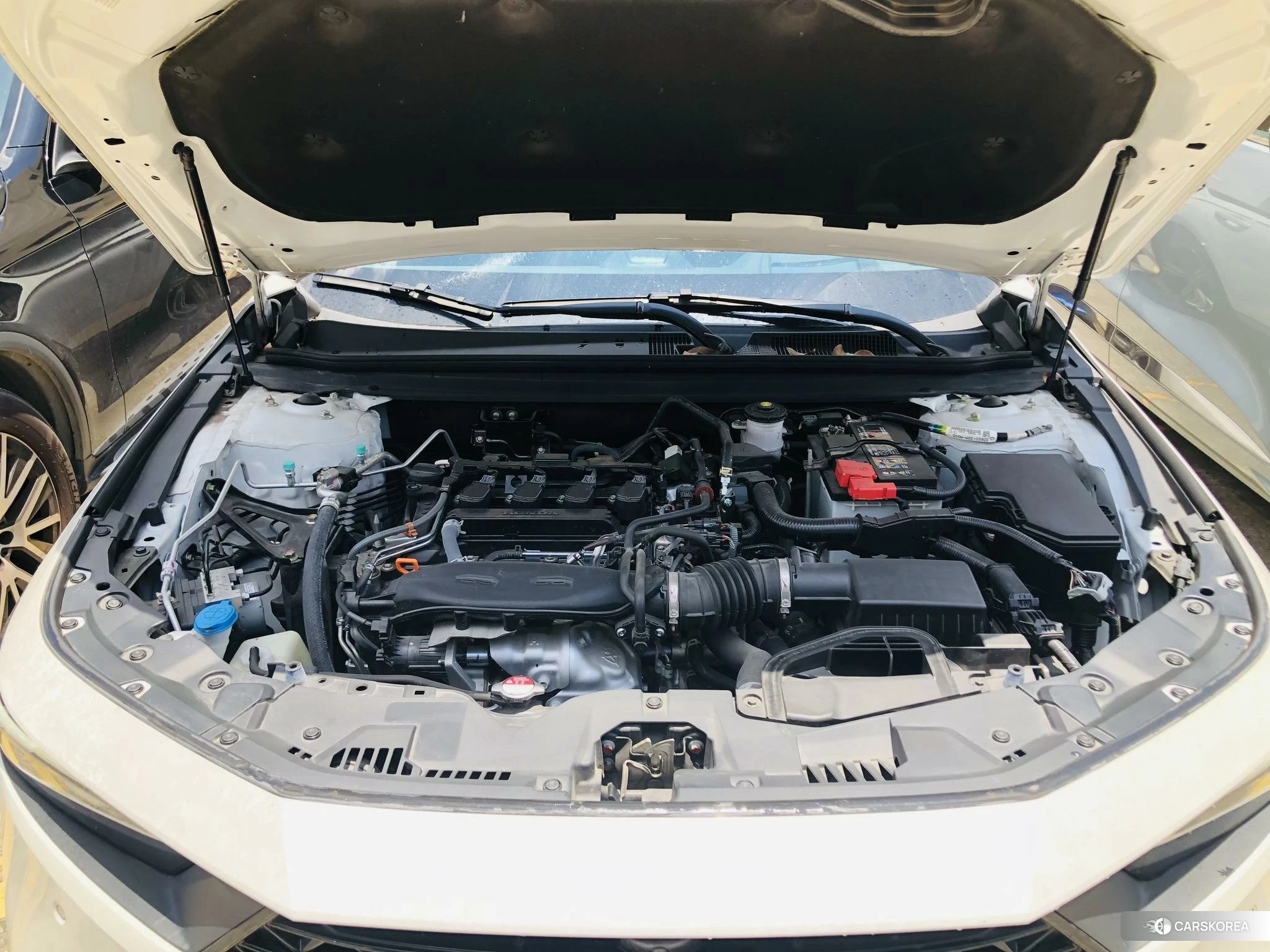 Honda Accord 2024 Белый из Китая, фото 4
