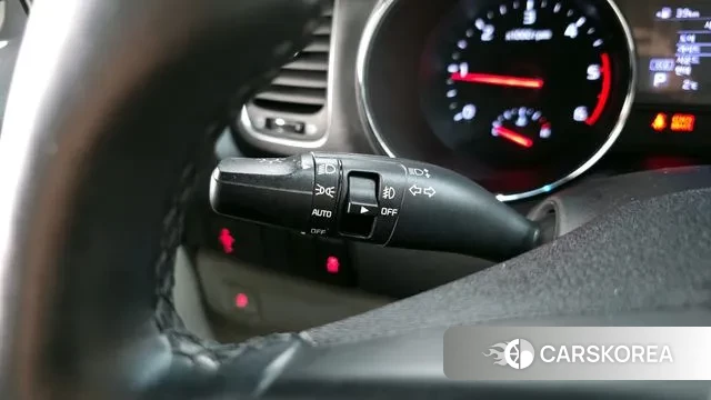 Kia The New Carnival 2019 Белый из Кореи, фото 4