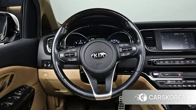 Kia The New Carnival 2020 Белый из Кореи, фото 4